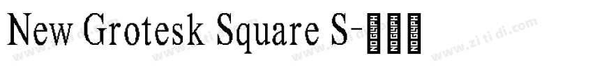 New Grotesk Square S字体转换 New Grotesk Square S字体转换
